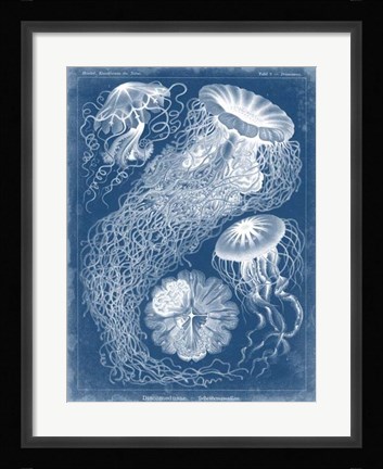 Framed Marine Blueprint II Print