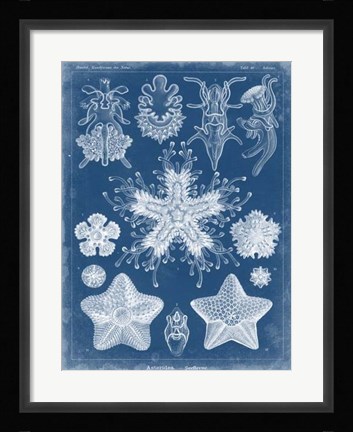 Framed Marine Blueprint III Print