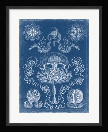 Framed Marine Blueprint IV Print