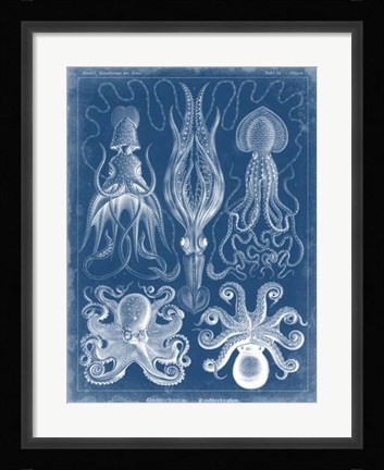 Framed Marine Blueprint V Print