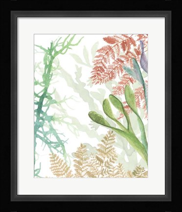 Framed Woven Seaplants I Print