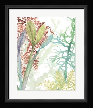 Framed Woven Seaplants II Print