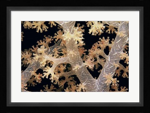 Framed Splendid Branches - Fiji Print