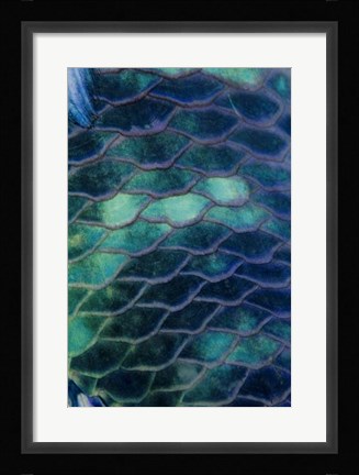 Framed Ripples - Malaysia Print