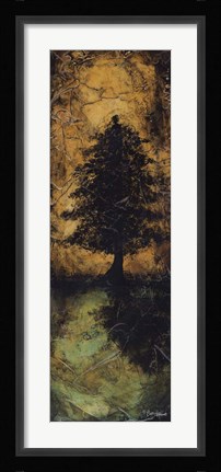 Framed Reflections and Shadows I Print