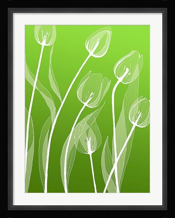 Framed Floral Silhouette 4 Print