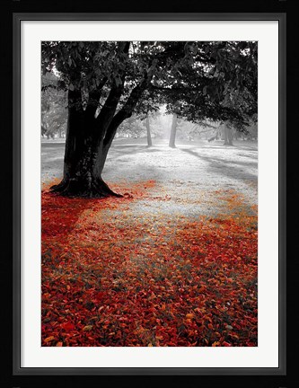 Framed Autumn Contrast Print