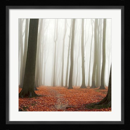 Framed Autumn Forest Floor Print