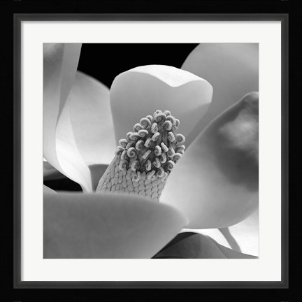 Framed Fibonacci 1 Print