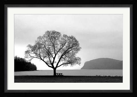 Framed Picnic Tree Print