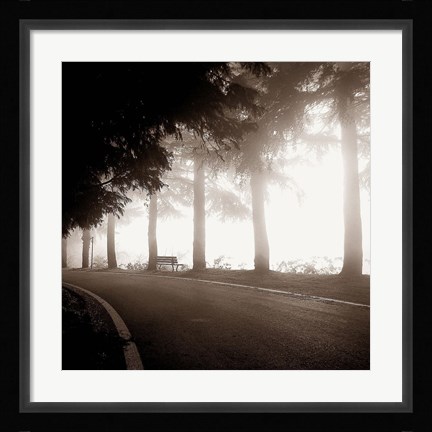 Framed Roadside Bench Print