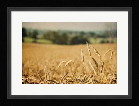 Framed Blissful Country I Print