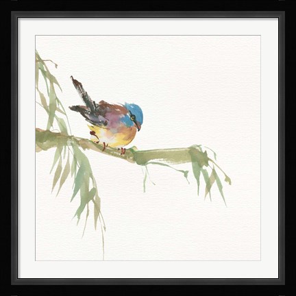 Framed Finch Print