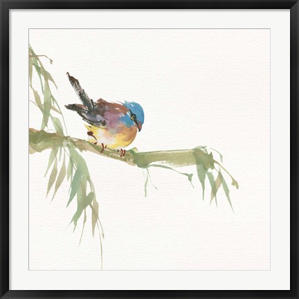 Framed Finch Print