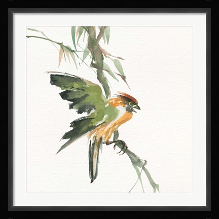 Framed Formosan Firecrest Print