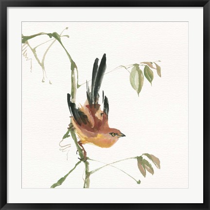 Framed Mountain Bush Warbler Print