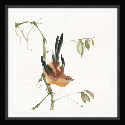 Framed Mountain Bush Warbler Print