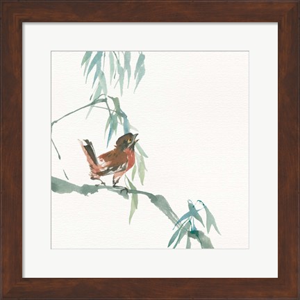 Framed Russet Sparrow Print