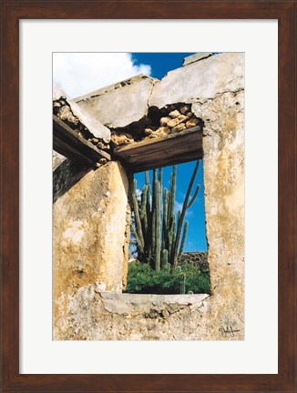 Framed Cactus View Print