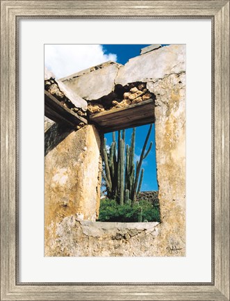 Framed Cactus View Print