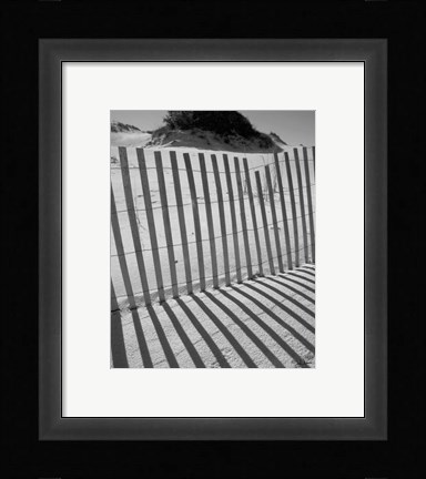 Framed I.R. Fla Fence 2 Print