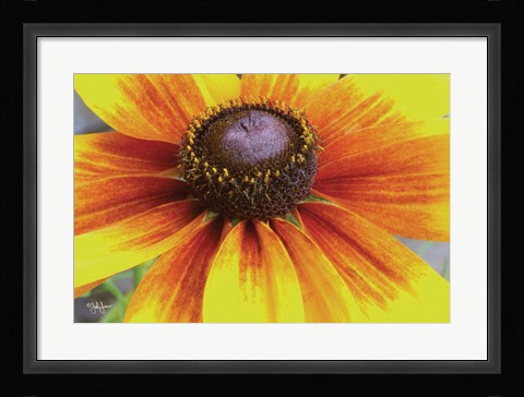 Framed Yellow Flower Print
