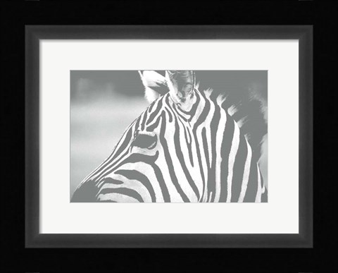 Framed Natural Harmony Print