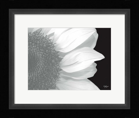 Framed Beautiful Entrance Print