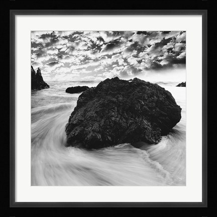 Framed Washed Ashore Print