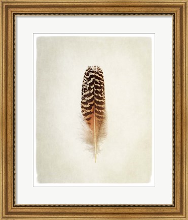 Framed Feather I Print