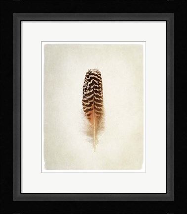 Framed Feather I Print