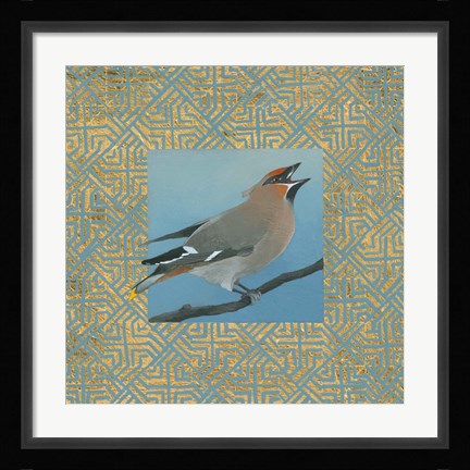 Framed Cedar Waxwing Border Print