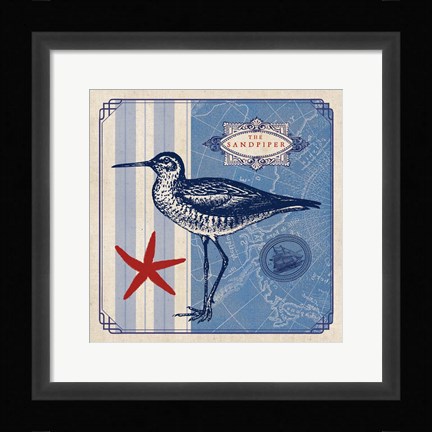 Framed Sea Bird II Print