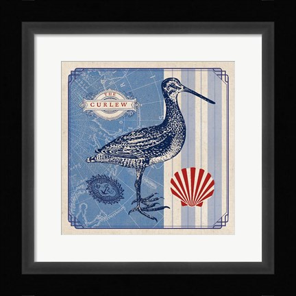 Framed Sea Bird III Print