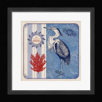 Framed Sea Bird IV Print