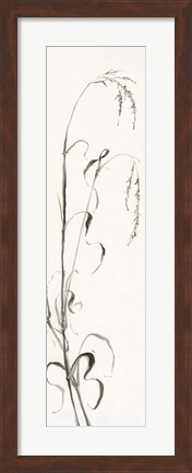 Framed Gray Grasses III Print
