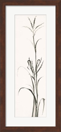 Framed Gray Grasses IV Print