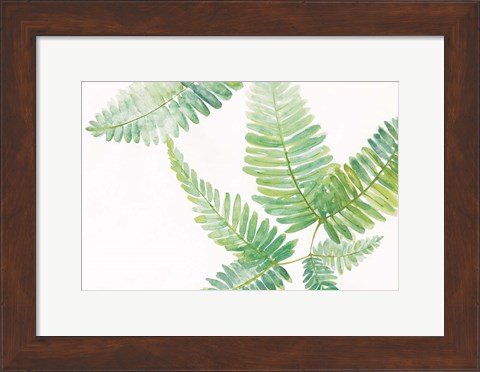 Framed Ferns I Square Print