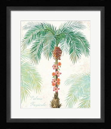 Framed Flamingo Tropicale III Print