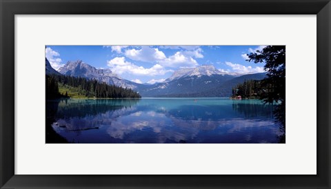 Framed Emerald Lake Reflections, Alberta, Canada Print