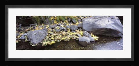 Framed Pilot Creek , Humboldt County, California Print