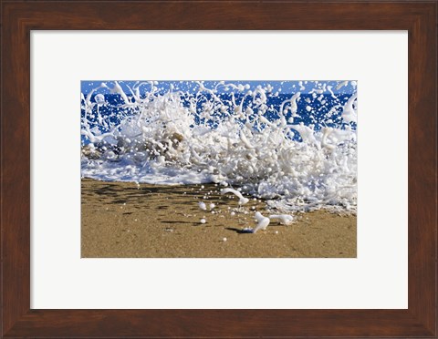 Framed Oahu Beach, Hawaii I Print