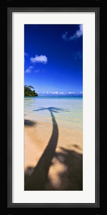 Framed Palm Tree Shadow, Tahiti, French Polynesia Print