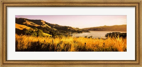 Framed Akaroa Harbour, Banks Peninsula, New Zealand Print