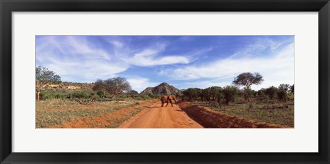 Framed Elephant in Tsavo East National Park, Kenya Print