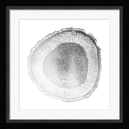 Framed Silver Foil Tree Ring I - Metallic Foil Print