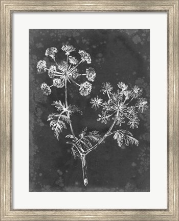 Framed Slate Floral I Print