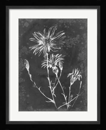 Framed Slate Floral III Print