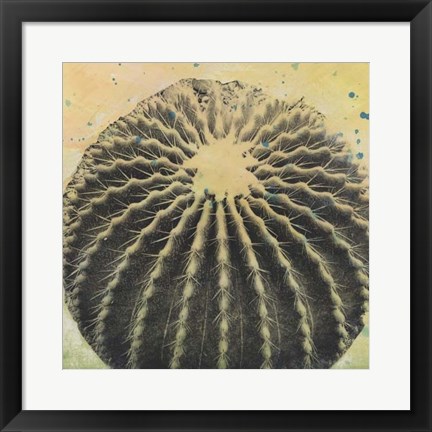 Framed Desert Dreams III Print