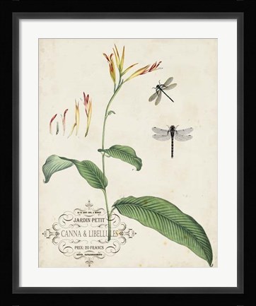 Framed Canna &amp; Dragonflies I Print